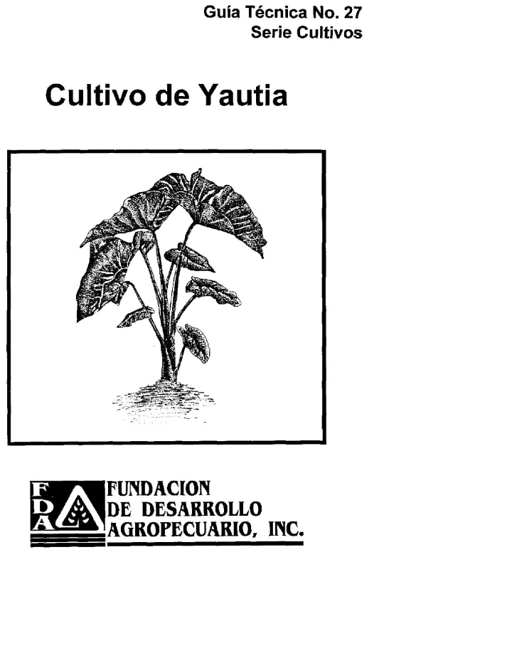 Portada de Cultivo de Yautía