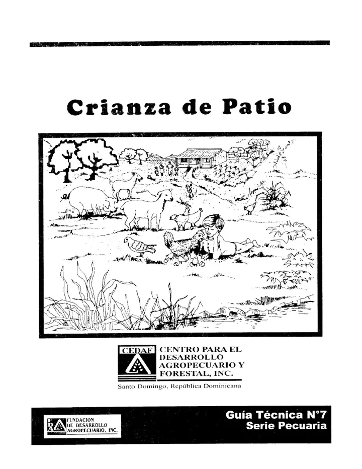 Portada de Producción Patio