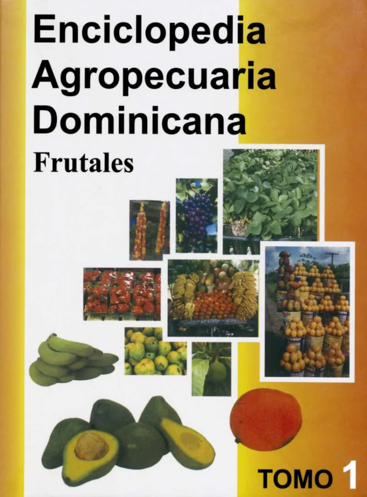 Portada de Enciclopedia Agropecuaria Dominicana. Tomo 1 : Frutales