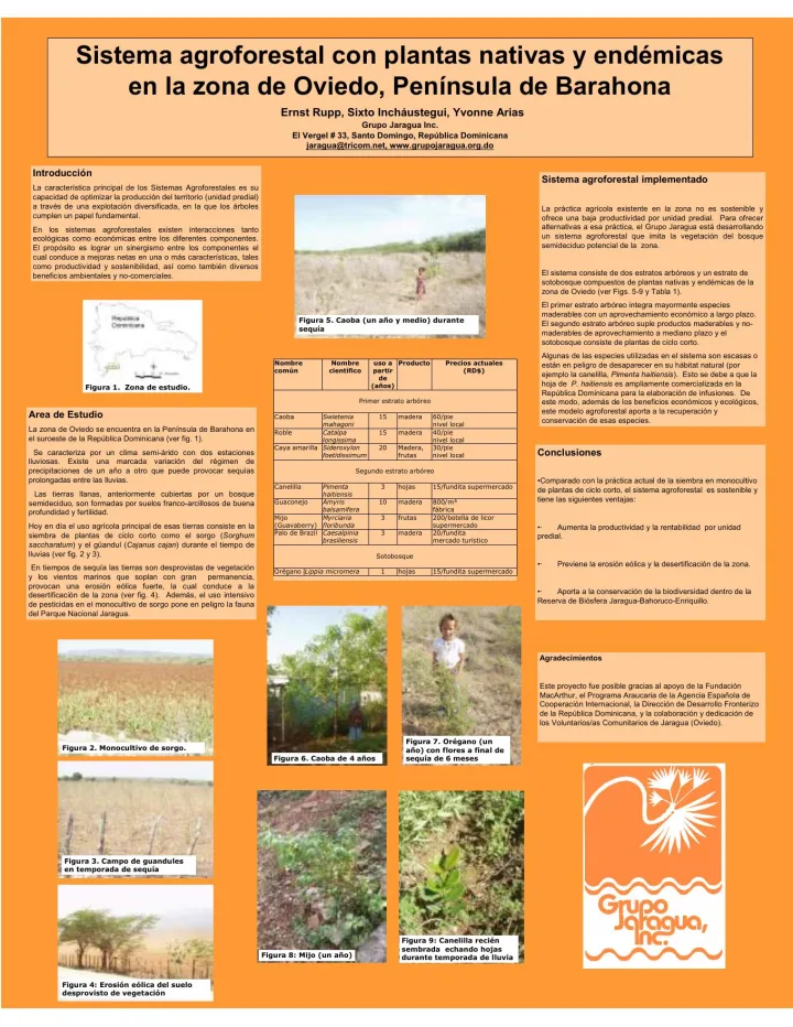 Portada de Sistema agroforestal con plantas nativas y endémicas  en la zona de Oviedo, Península de Barahona