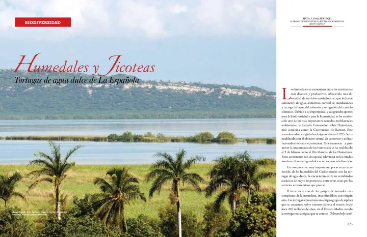 Portada de Humedales y Jicoteas Tortugas de agua dulce de La Española