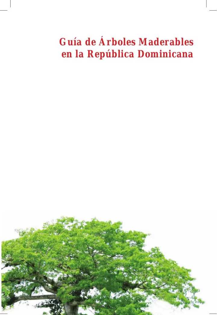 Portada de Guia de Arboles Maderables en la Republica Dominicana.