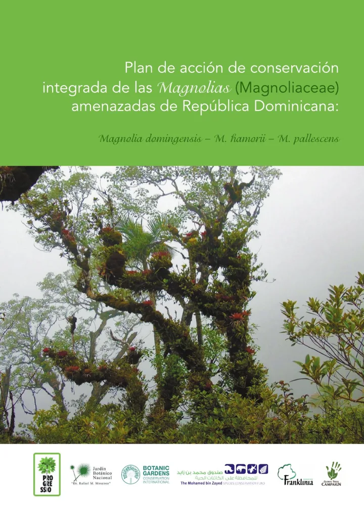 Portada de Plan de acción de conservación integrada de las Magnolias (Magnoliaceae) amenazadas de República Dominicana: Magnolia domingensis – M. hamorii – M. pallescens