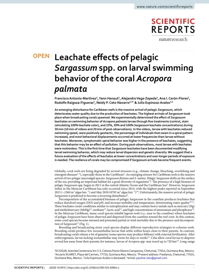 Portada de Leachate effects of pelagic Sargassum spp. on larval swimming behavior of the coral Acropora palmata