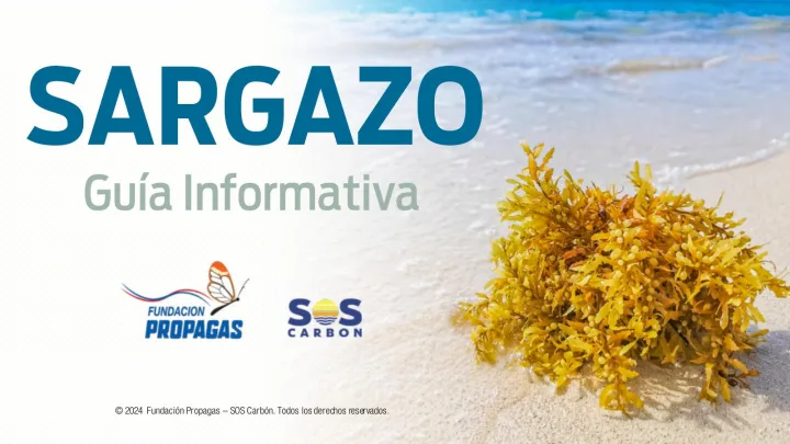 Portada de SARGAZO: Guía Informativa