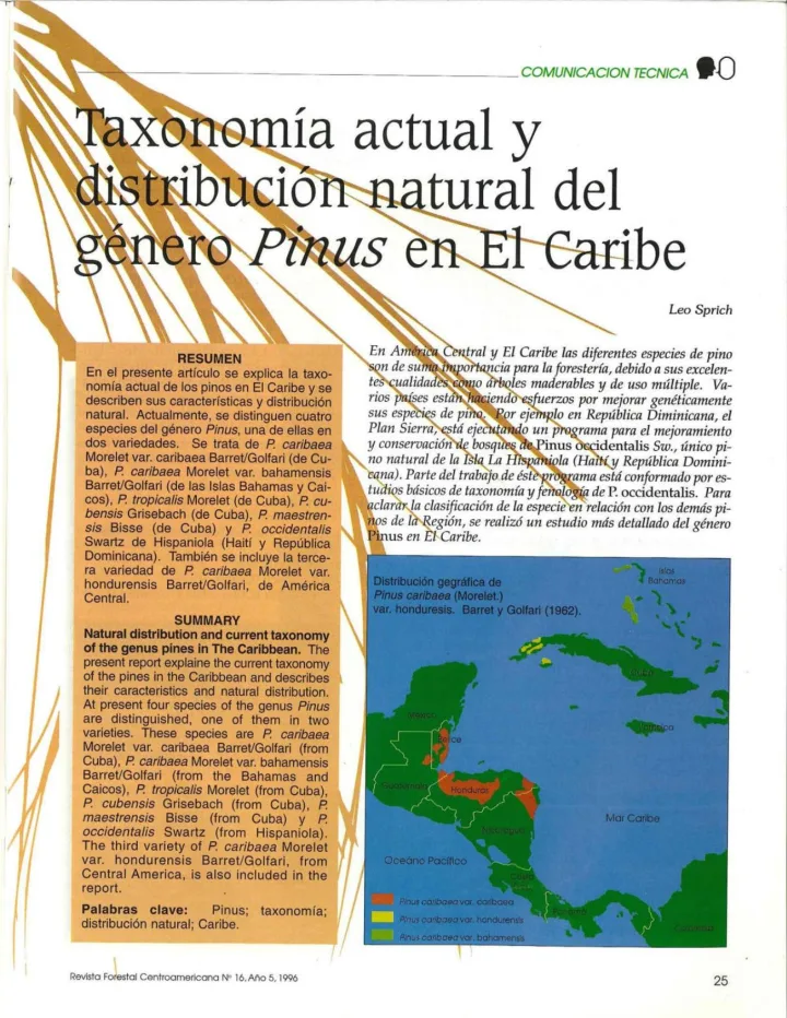 Portada de Taxonomía actual y distribución natural del género Pinus en El Caribe