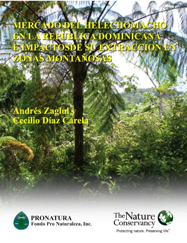 Portada de Mercado del Helecho Macho en la República Dominicana e Impactos de su Extracción en Zonas Montañosas