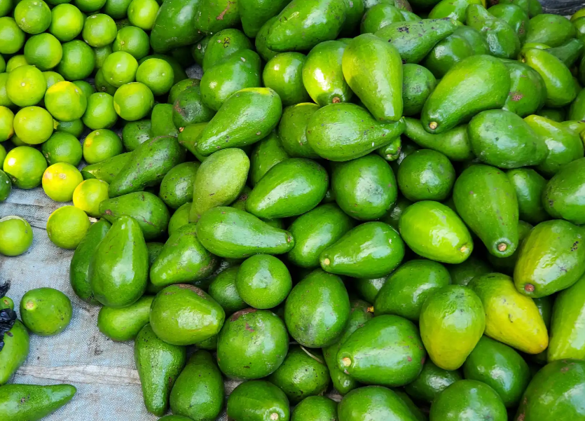 Aguacate.png