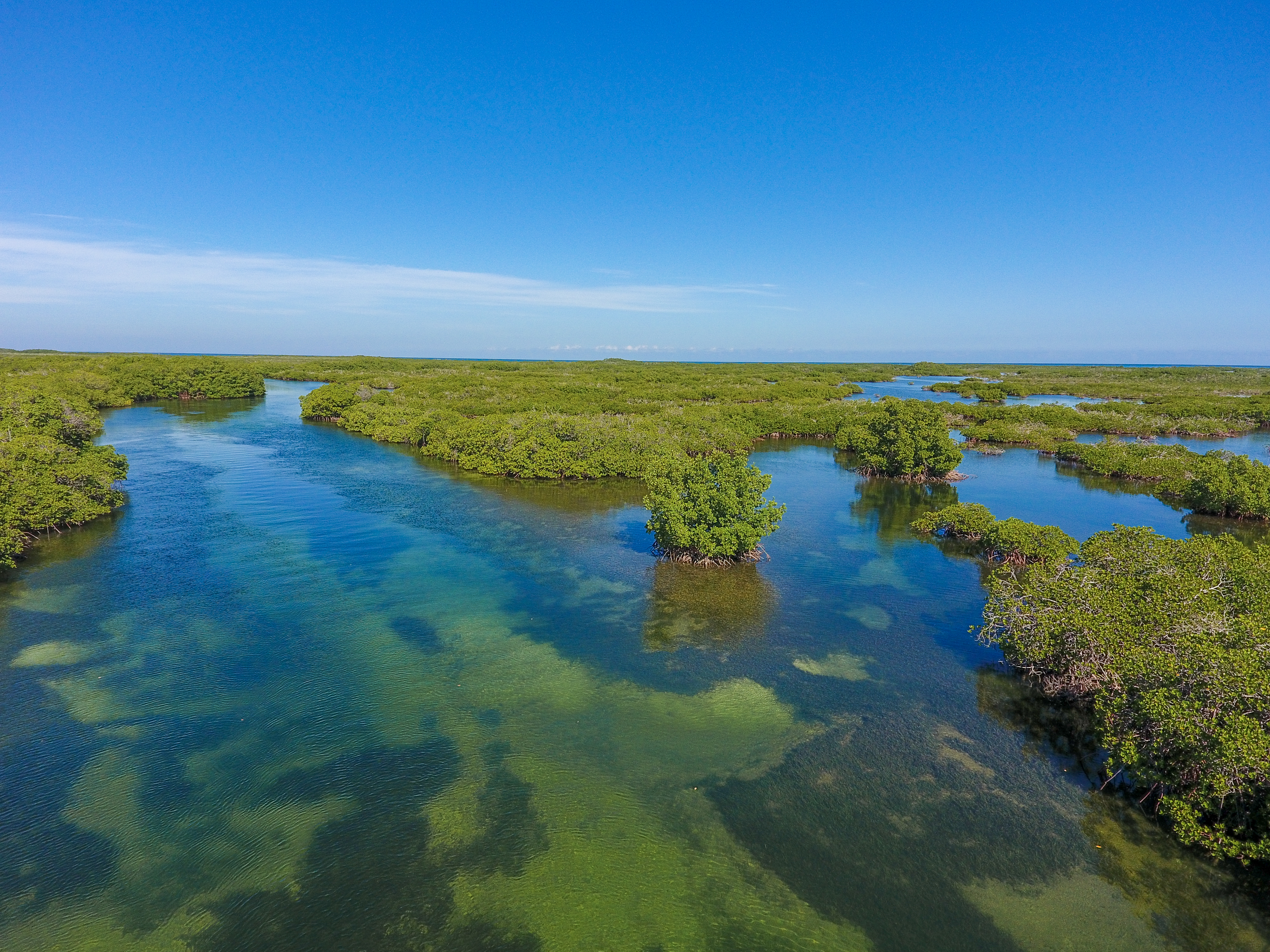 Paisaje de Manglar del Parque Nacional el Morro, Montecristi, Jonathan Delance.jpg