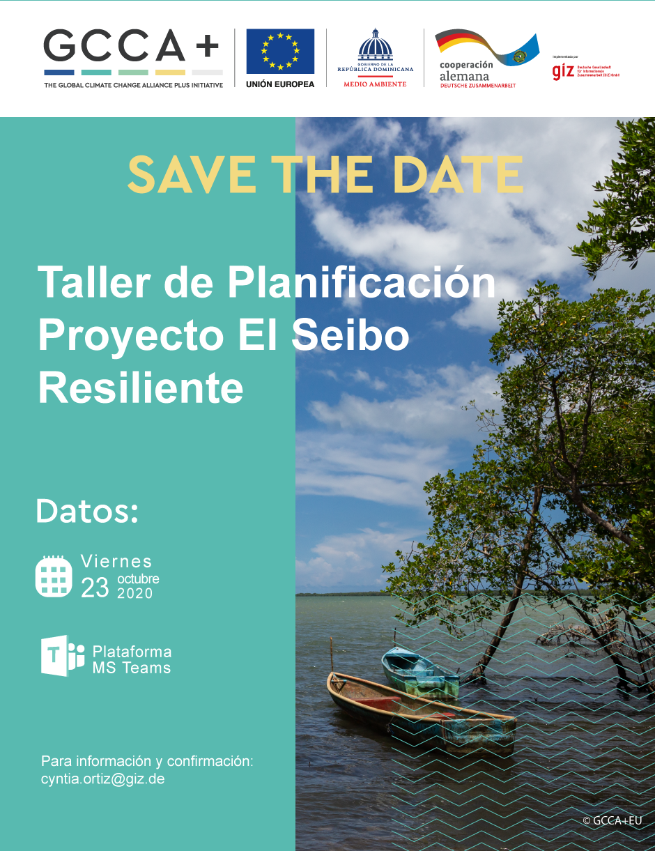 20201023_GIZ_Invitacion-Taller-Planificacion.png