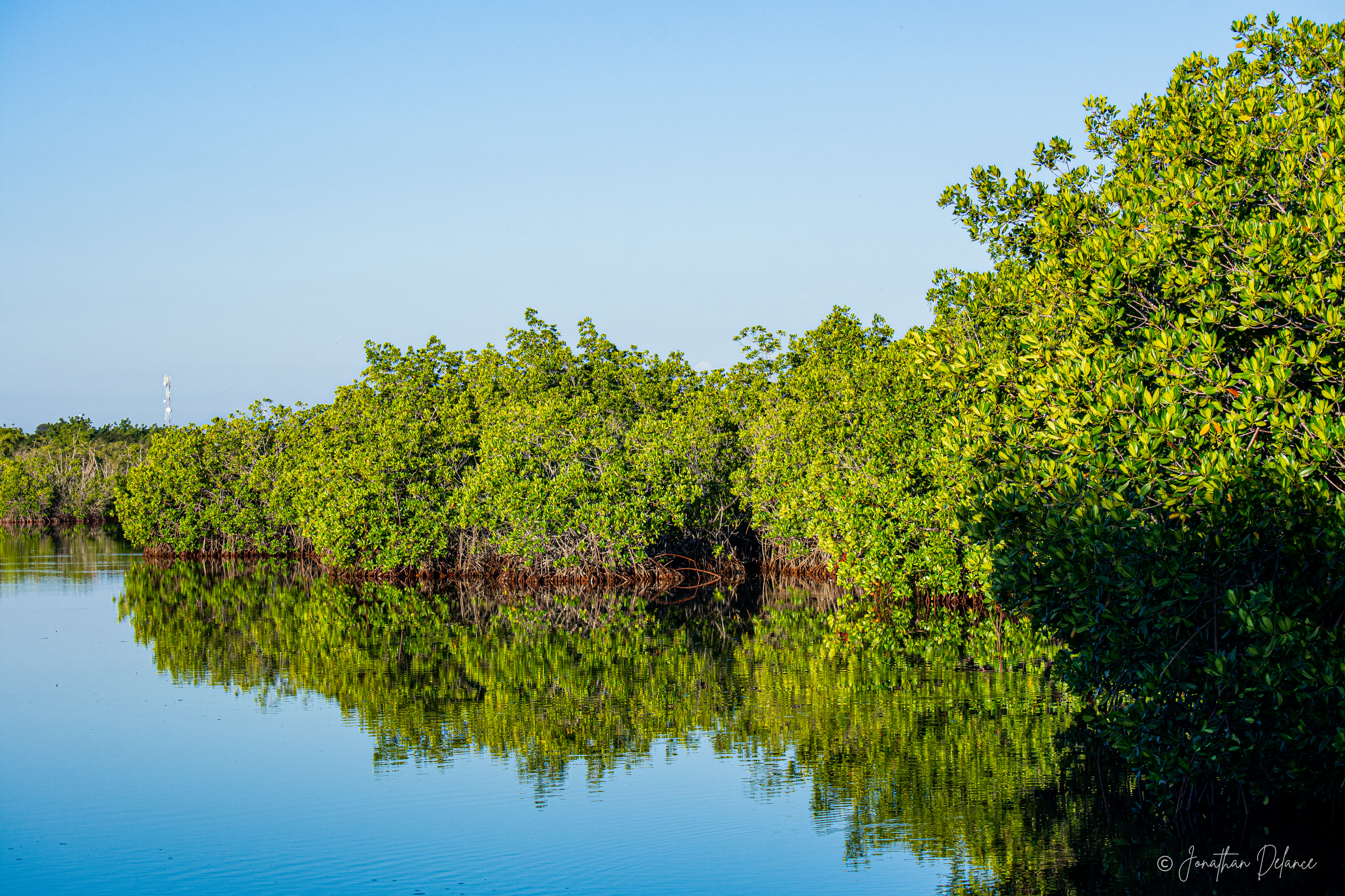 PN Manglares de Estero Balsa - Jonathan Delance-21.jpg