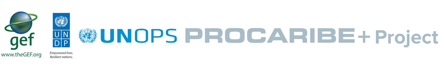 PROCARIBE-temporary-logo-cropped.png