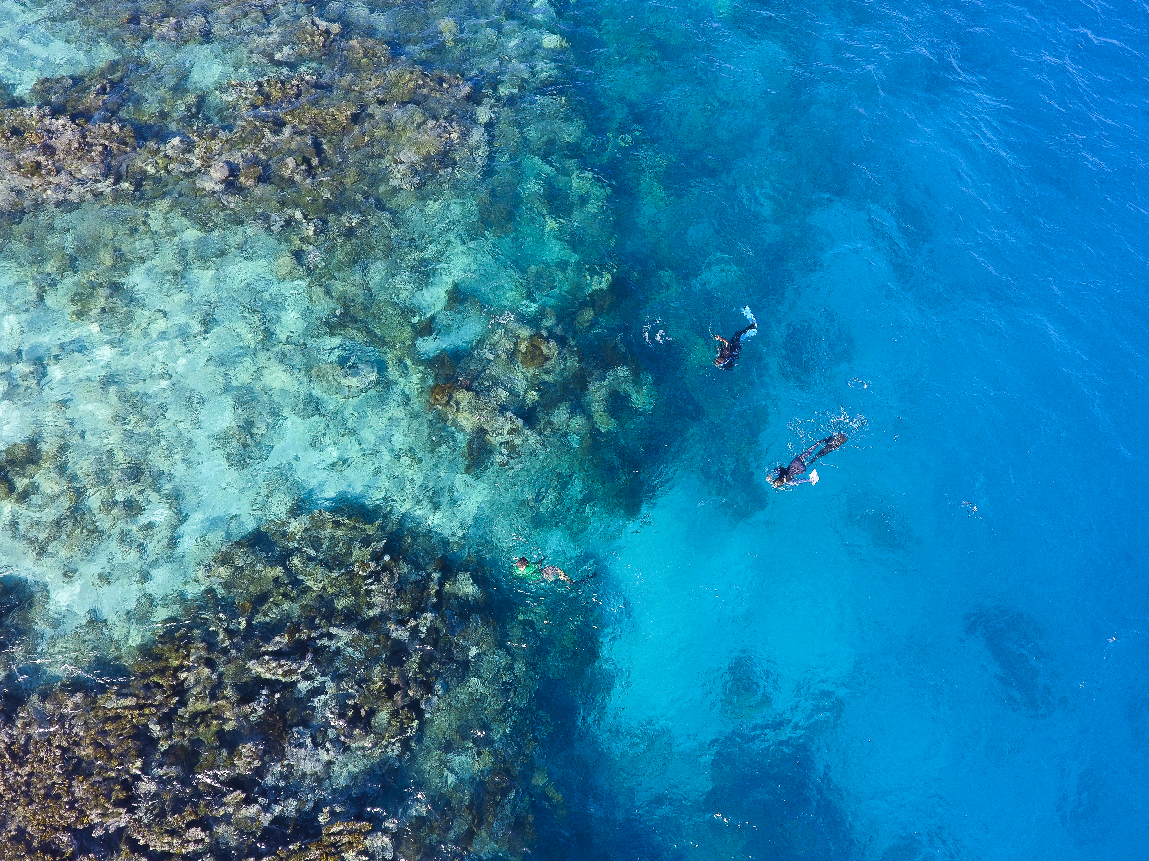 Cayo Arena Snorkeling 1 - Jonathan Delance.jpg