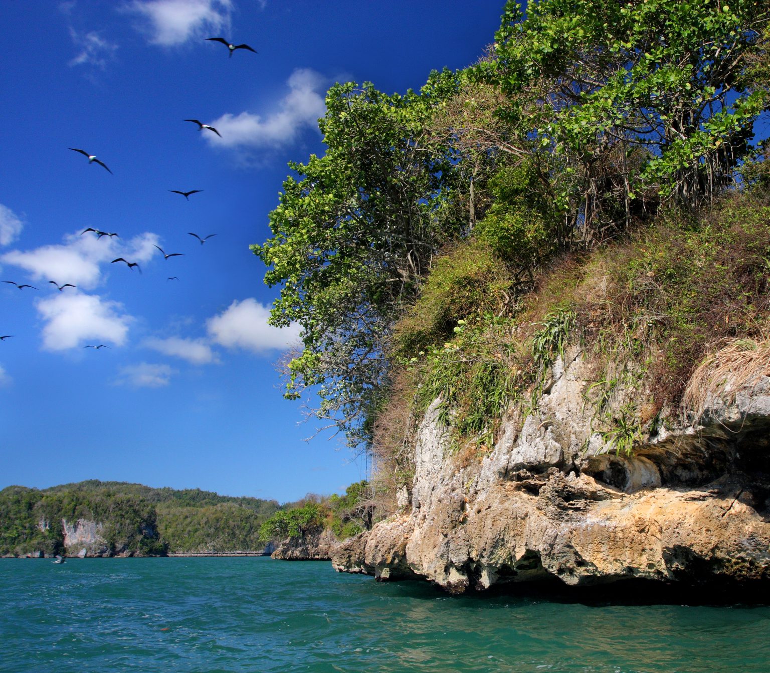 Parque-Nacional-Los-Haitises-Miguel-Landestoy-1536x1343.jpg