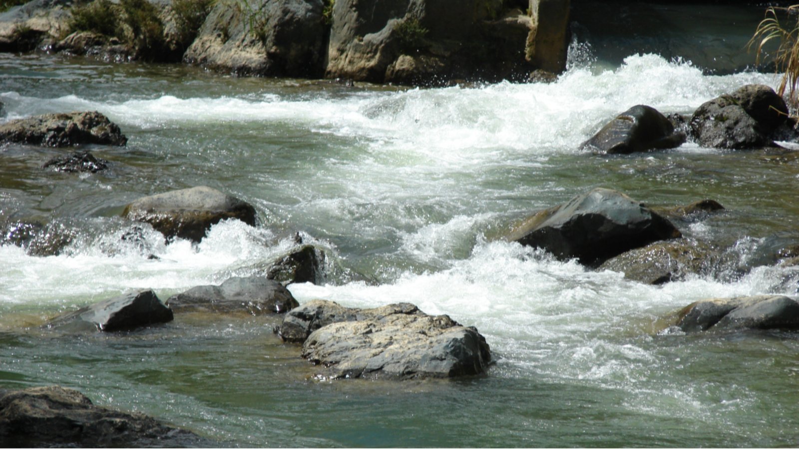 Apoyo a las inversiones en el sector de medio ambiente – Estudios adicionales para la instrucción del Proyecto gestión ambiental y resiliencia social frente al cambio climático en la Cuenca del Río Yaque del Sur (CRYS)