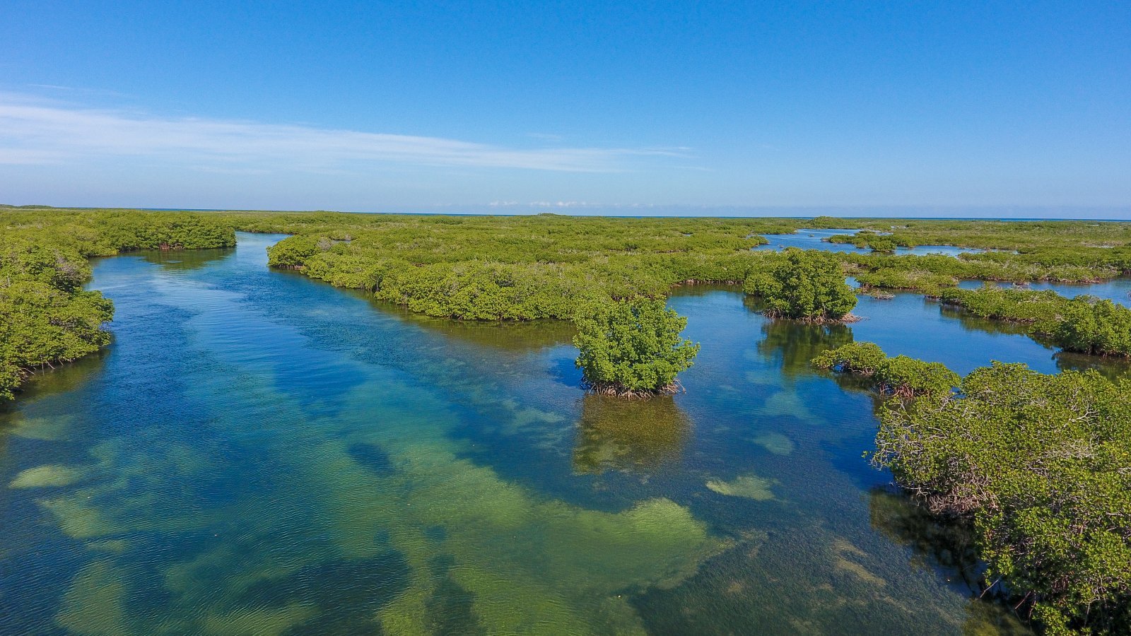 Crecimiento Azul a través de la Restauración Verde: Fortalecimiento de Capacidades sobre Ecosistemas de Pastos Marinos en el marco del Convenio Regional de Mares de Cartagena