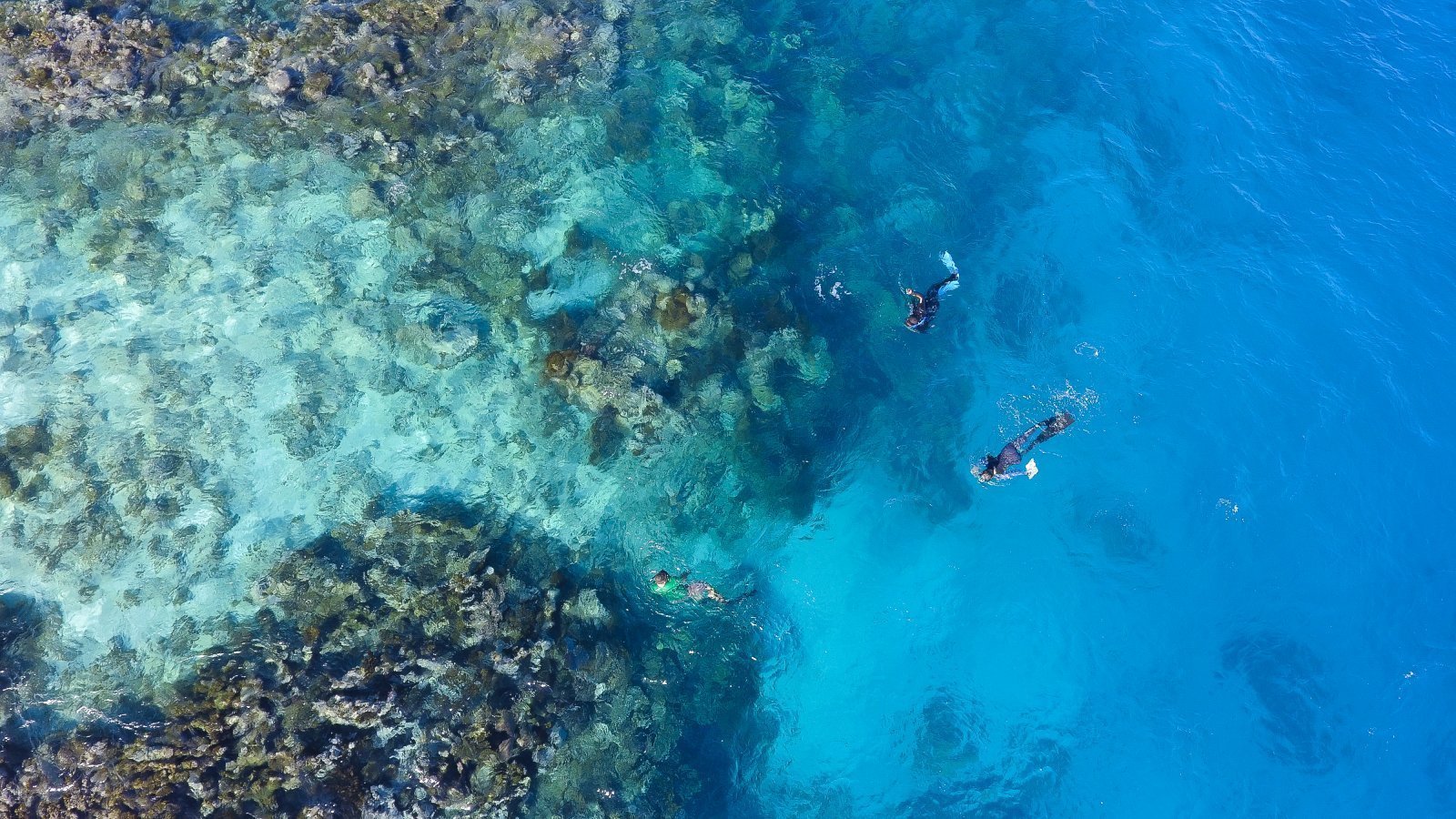 Proyecto Financiamiento de la Economía Azul en el Caribe (Caribbean BluEFin)