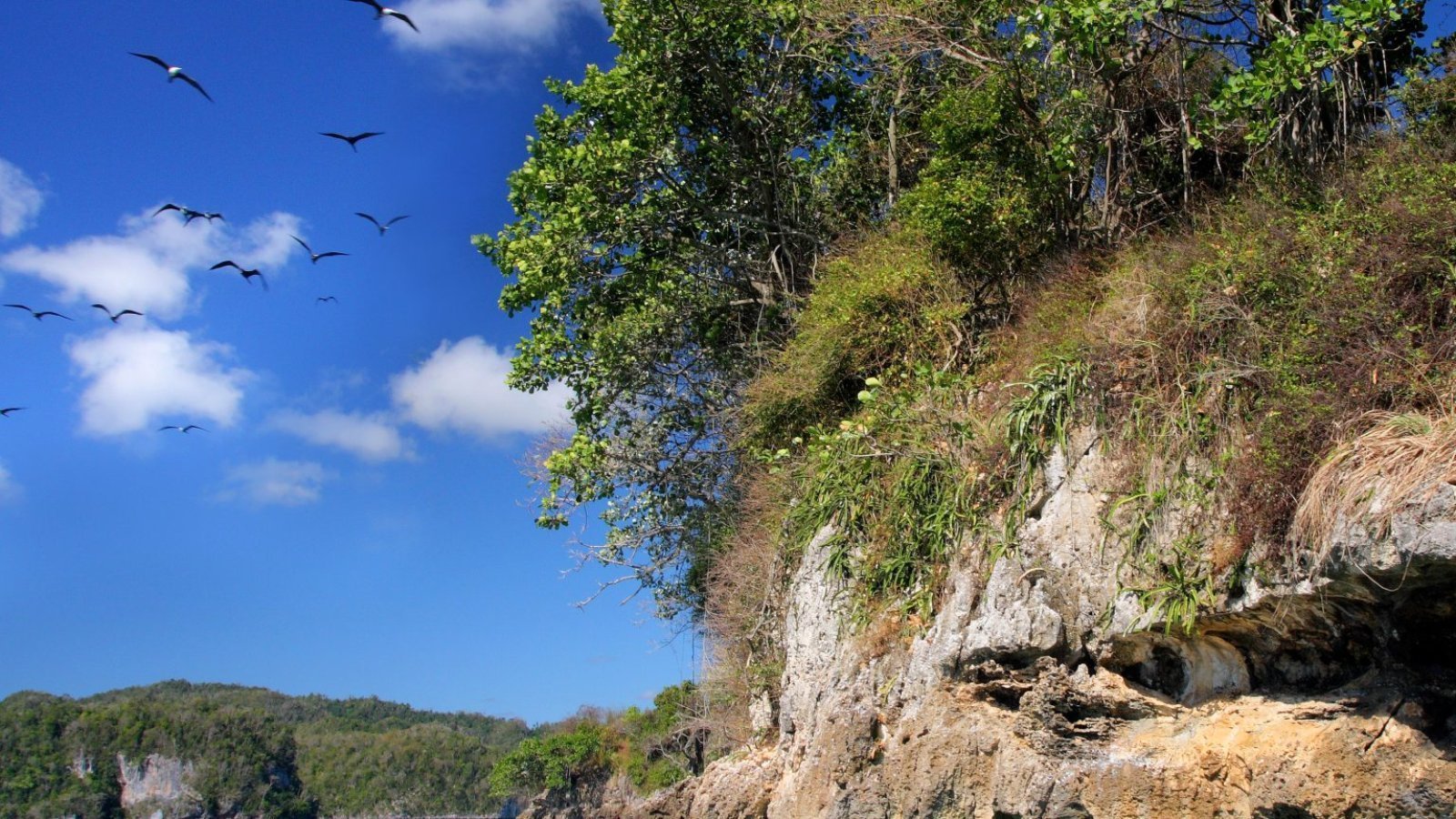 Proyecto soporte estratégico nacional de Biodiversidad- ENBPA